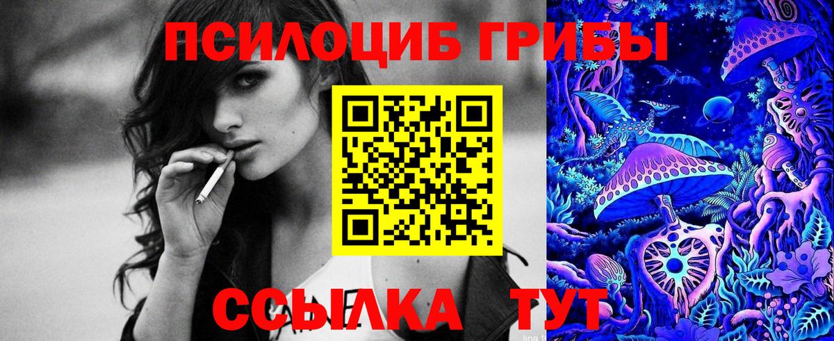 Ржев  Псилоцибиновые грибы GOLDEN TEACHER  Вход с VPN 