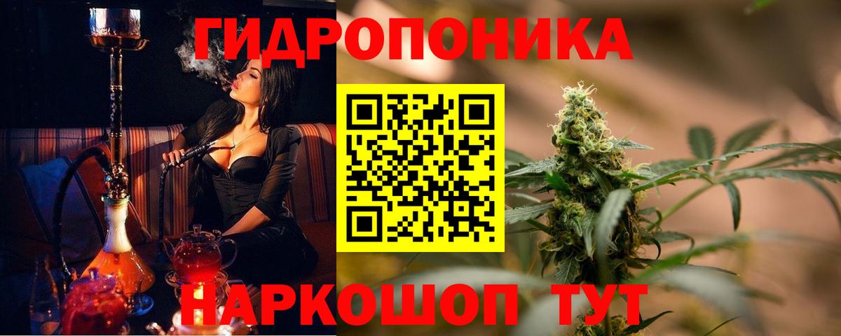 Каннабис конопля  Каннабис VHQ  Ржев  Марихуана MAZAR  Марихуана планчик  Вход с VPN 